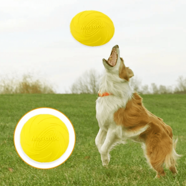 Frisbee Chien - FlyingDiscToys™ - Jaune - Monchienmoncoeur