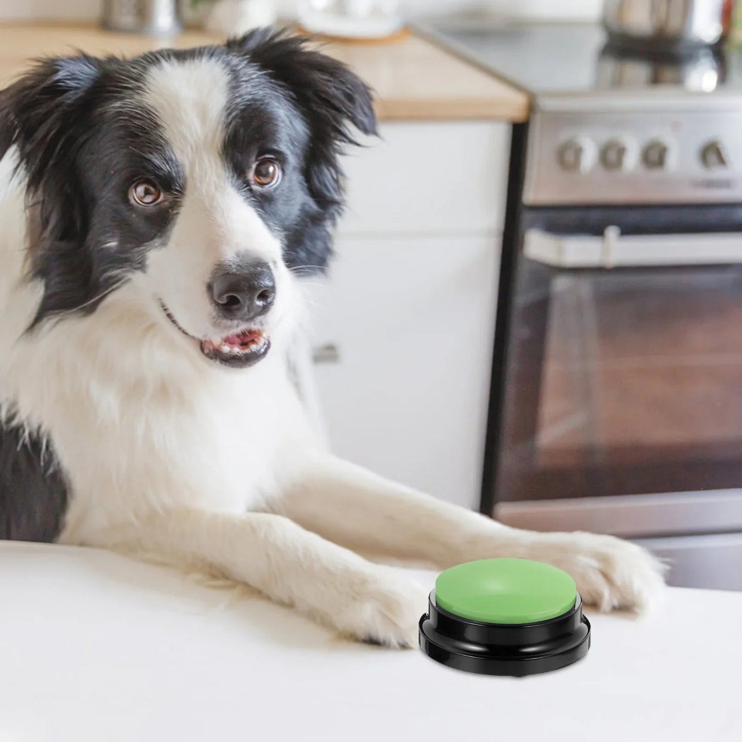 Jouet Interactif pour Chien - ChienParlant™ - Vert - Monchienmoncoeur
