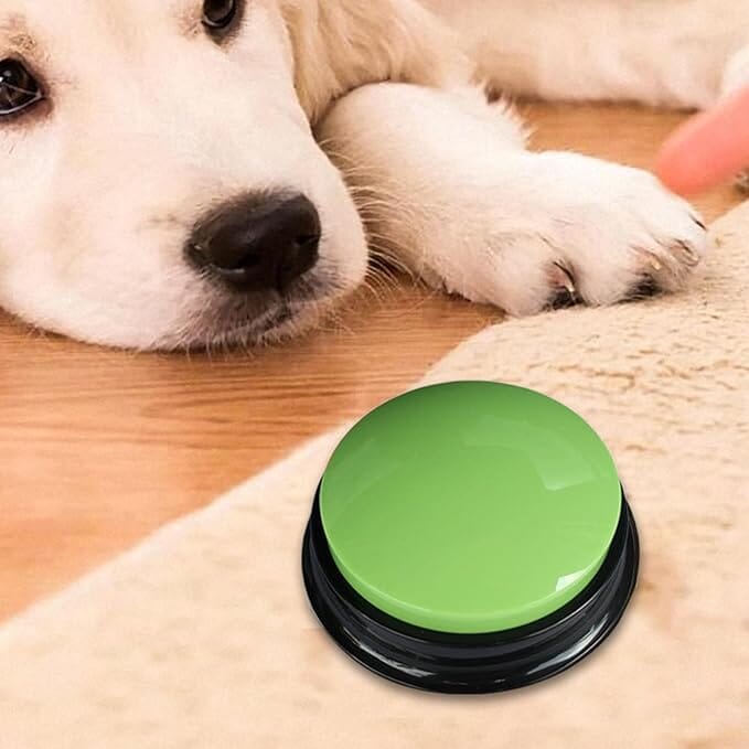 Jouet Interactif pour Chien - ChienParlant™ - Vert - Monchienmoncoeur