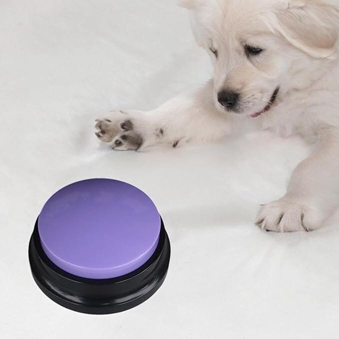 Jouet Interactif pour Chien - ChienParlant™ - Violet - Monchienmoncoeur