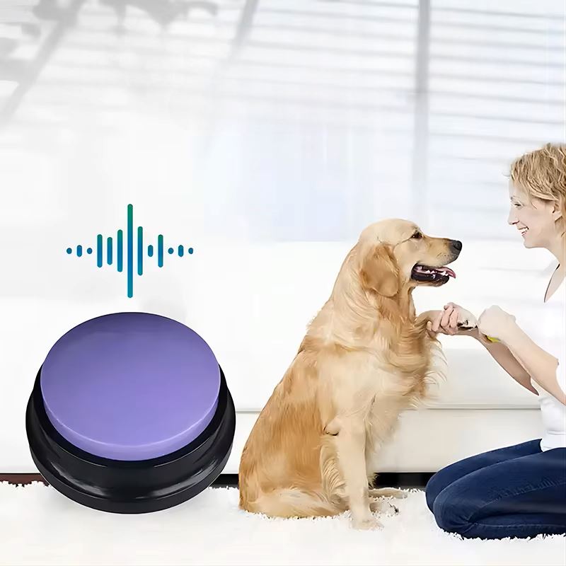 Jouet Interactif pour Chien - ChienParlant™ - Violet - Monchienmoncoeur