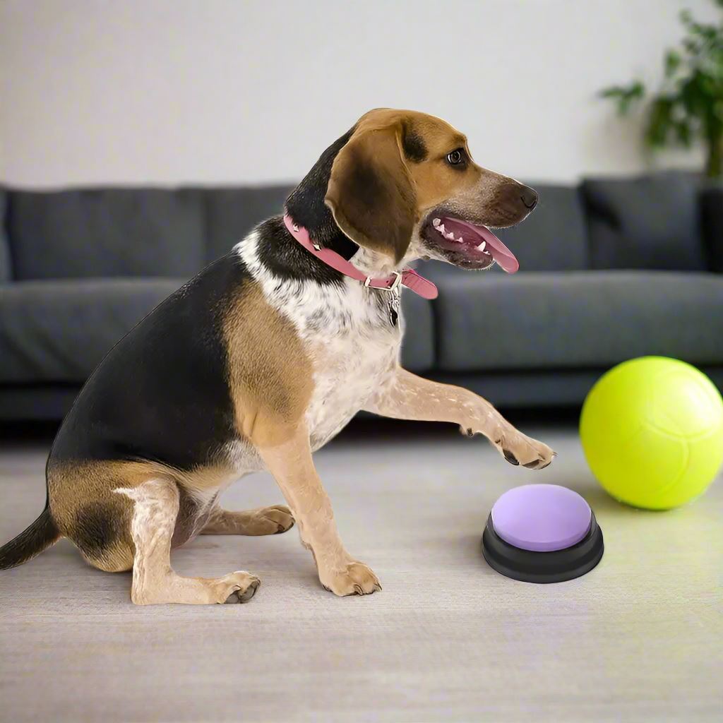 Jouet Interactif pour Chien - ChienParlant™ - Violet - Monchienmoncoeur