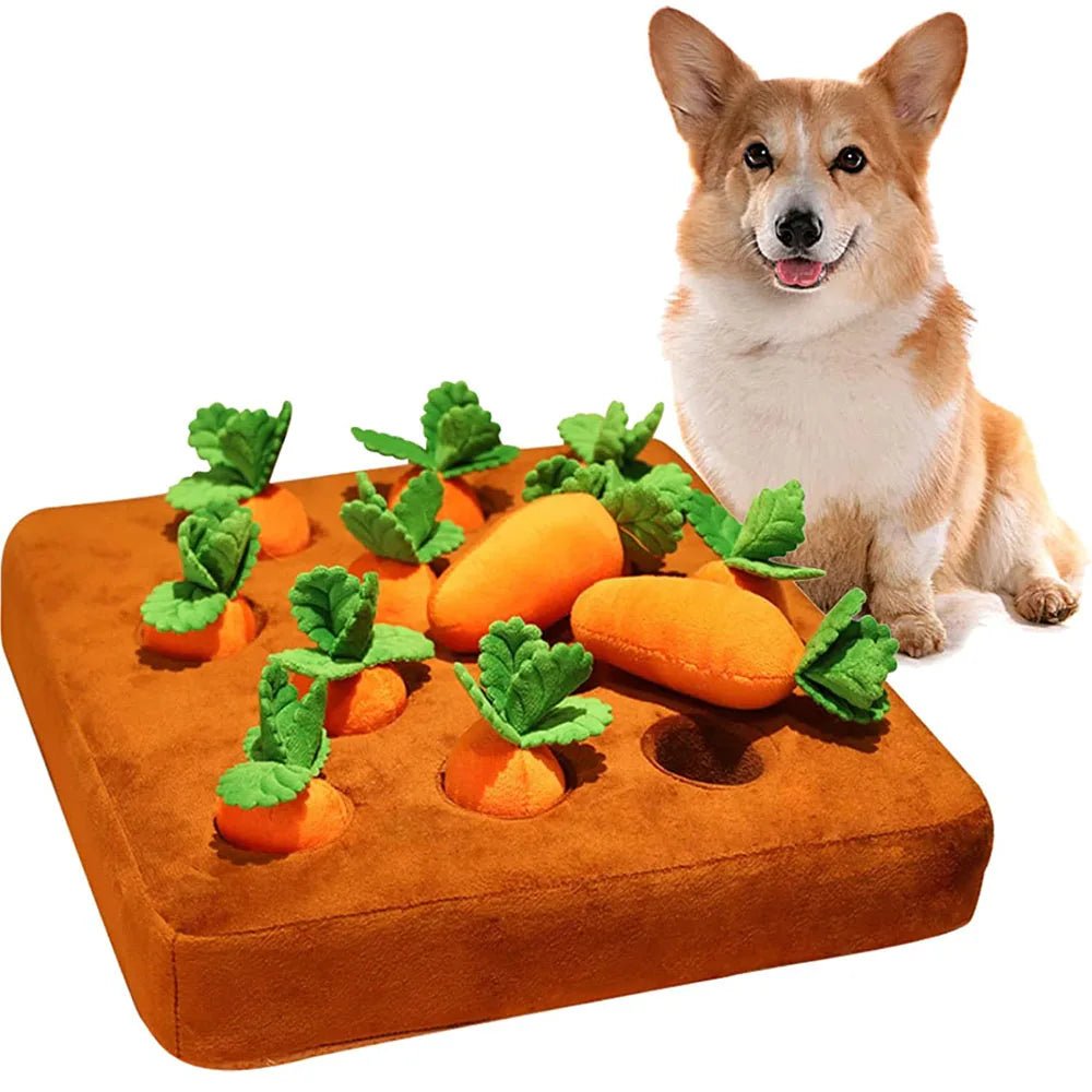 Peluche pour Chien - DogPlushCarrots™ - 12Pcs - Monchienmoncoeur