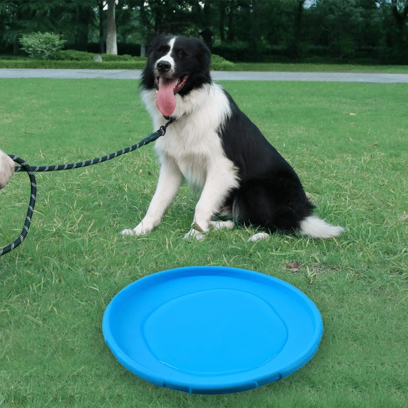 Frisbee Chien - FlyingDiscToys™ - Bleu - Monchienmoncoeur
