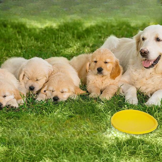 Frisbee Chien - FlyingDiscToys™ - Jaune - Monchienmoncoeur