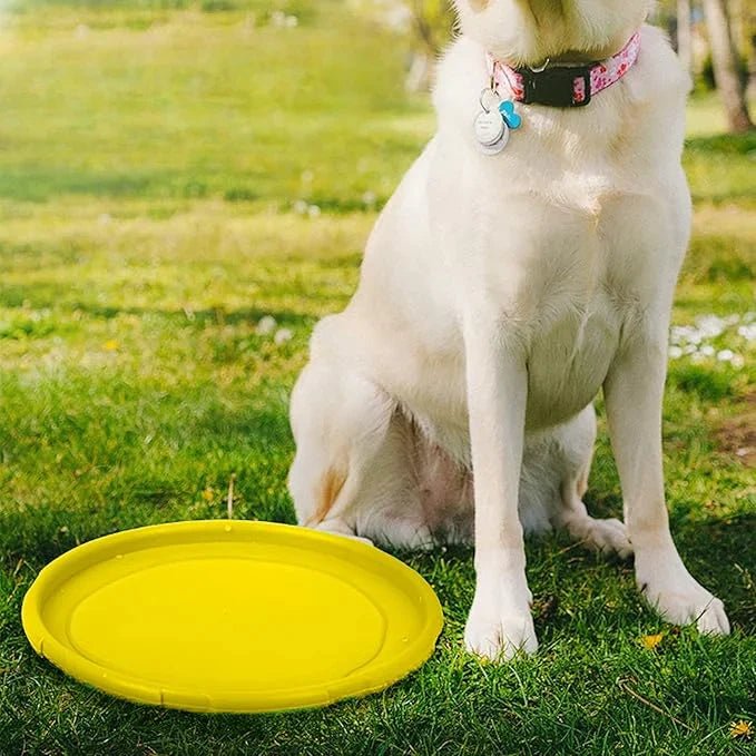 Frisbee Chien - FlyingDiscToys™ - Jaune - Monchienmoncoeur