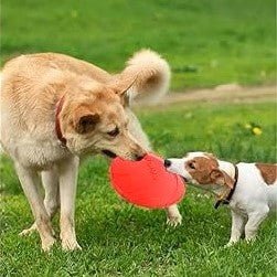 Frisbee Chien - FlyingDiscToys™ - Rouge - Monchienmoncoeur