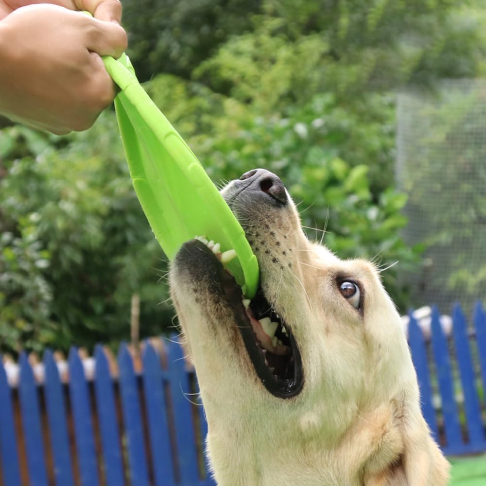 Frisbee Chien - FlyingDiscToys™ - Vert - Monchienmoncoeur