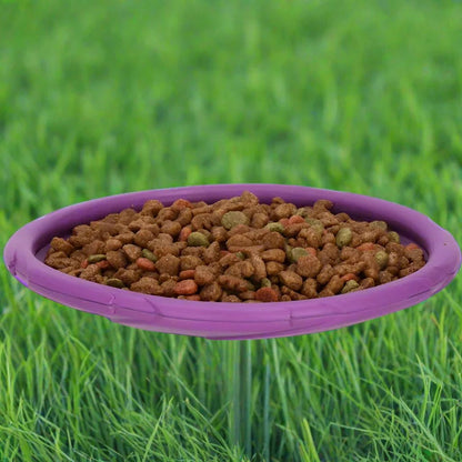 Frisbee Chien - FlyingDiscToys™ - Violet - Monchienmoncoeur