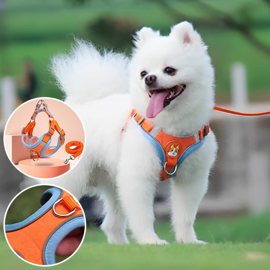 harnais pour chien - Monchienmoncoeur