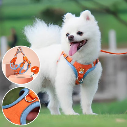 harnais pour chien - Monchienmoncoeur