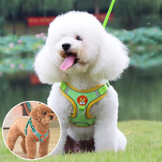 harnais pour chien - Monchienmoncoeur