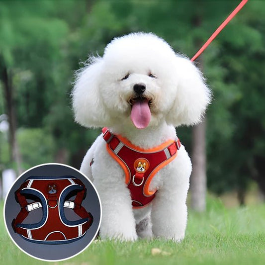 harnais pour chien - Monchienmoncoeur