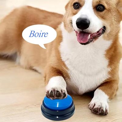 Jouet Interactif pour Chien - ChienParlant™ - Bleu Royal - Monchienmoncoeur