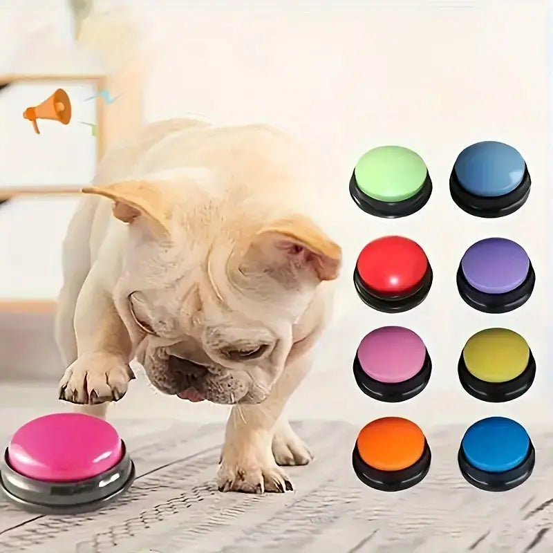 Jouet Interactif pour Chien - ChienParlant™ - Ensemble Multicolore - Monchienmoncoeur