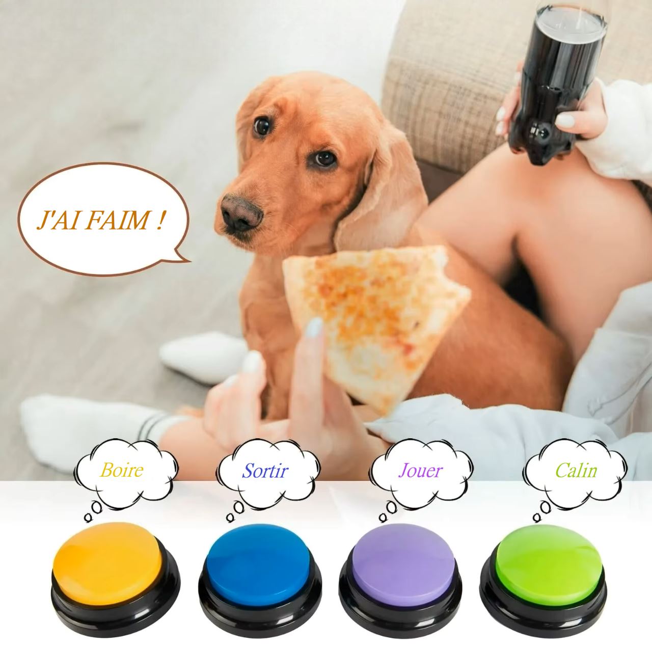 Jouet Interactif pour Chien - ChienParlant™ - Ensemble Multicolore - Monchienmoncoeur