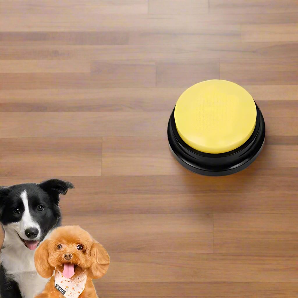 Jouet Interactif pour Chien - ChienParlant™ - Jaune - Monchienmoncoeur