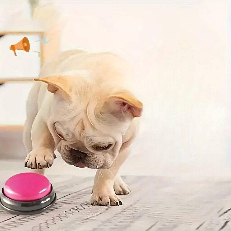 Jouet Interactif pour Chien - ChienParlant™ - Magenta - Monchienmoncoeur