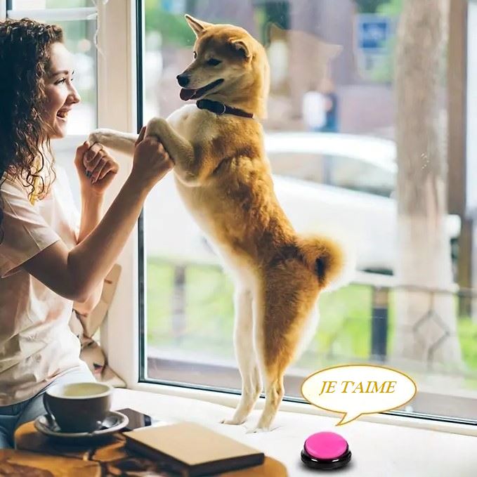 Jouet Interactif pour Chien - ChienParlant™ - Magenta - Monchienmoncoeur