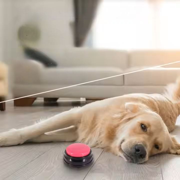 Jouet Interactif pour Chien - ChienParlant™ - Magenta - Monchienmoncoeur