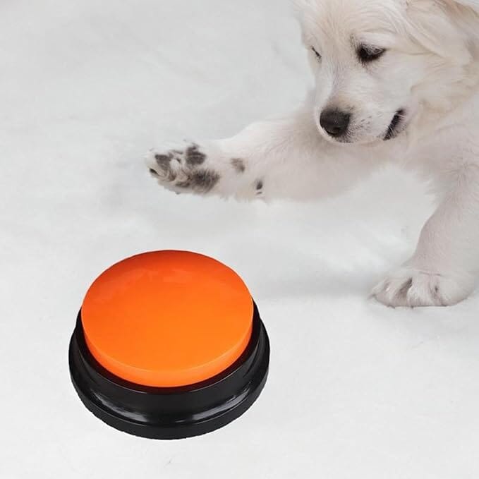 Jouet Interactif pour Chien - ChienParlant™ - Orange - Monchienmoncoeur