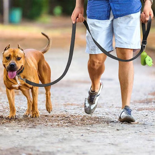 Laisse pour chien - Monchienmoncoeur
