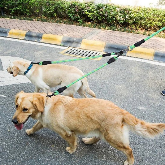 Laisse pour chien - Monchienmoncoeur