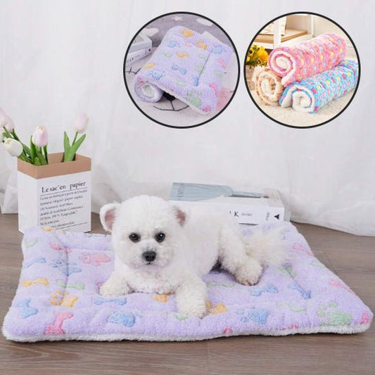 Tapis pour chien - Monchienmoncoeur