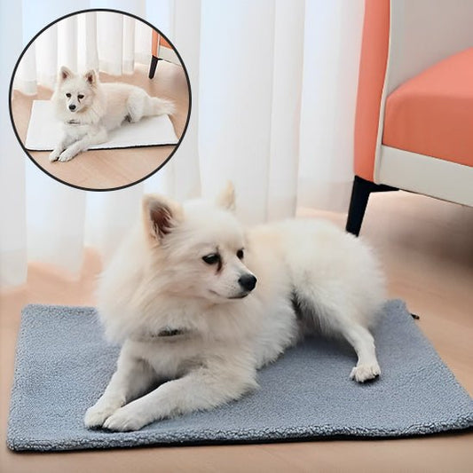 Tapis pour chien - Monchienmoncoeur